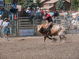 20090907_Cochrane_0061.jpg