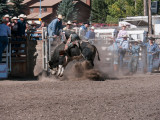 20090907_Cochrane_0073.jpg