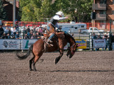20090907_Cochrane_0207.jpg