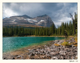 20090926_Lk OHara_0196.jpg