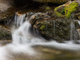 20120922_Cat Creek Falls_1385.jpg