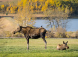 20120929_Chain Lake_0569.jpg