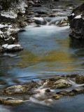 20121005_Sheep River_0230.jpg