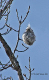 quiz_201102
