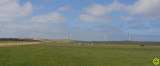 photos 142 Codrington Vic.jpg