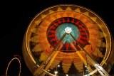 Monroe County fair 09 205.jpg