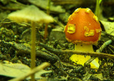 8-21-12 127.jpg