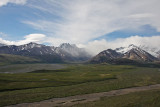 June 15: Denali National Park