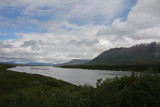 June 16: Denali Highway near Maclaren