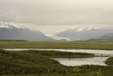June 16: Drizzly day along the Denali Highway