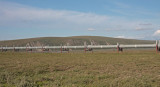 June 18: Pipeline