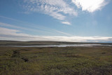 June 20: Dalton Highway to Fairbanks