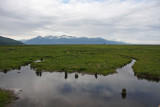 June 22: Potters Marsh