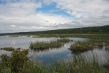 June 22: At the refuge