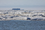 June 19: Arctic Ocean