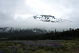 June 25: Chugach Wilderness Area