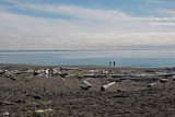 June 30: Beachcombers