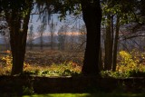 IMG_4335-3 L'orée - Beloeil - Québec