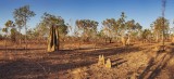 Termite Mound pano_web_4.jpg