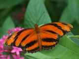 P8298653credge.jpg