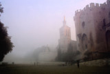 Misty morning