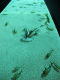 Obviously we are going to visit the famous Aquarium!