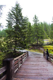 20100705_5069.jpg