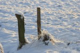 liereman-2009-01-09_078.jpg