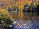 sublime automne