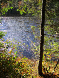 saveur d'automne