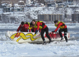 Royal Lepage #44