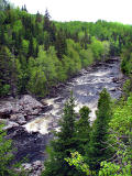 paysage typique