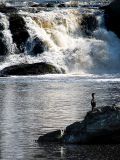 la chute au cormoran, Rivière du Loup