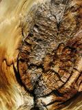Foxtail knot