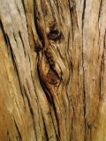 Time etched in wood