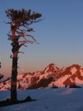 Sunrise, ancient tree, and ancient rocks