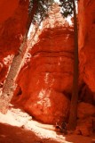 Bryce Canyon National Park
