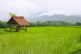 1647 Farmland near Kuang Si.jpg