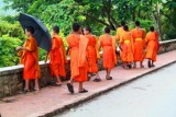 1817 Young Monks LP.jpg