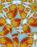 wallpaper_patterns