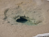 Upper geyser basin, Yellowstone