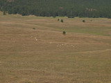 On the back roads in Wyoming