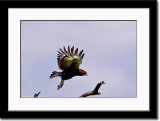 In Flight 2