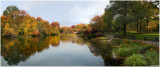 The Pond