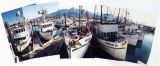Seward Harbor (1994)
