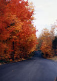 Tar, Bloomington, Indiana (1991)