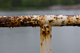 The rusty fence