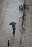 At last a rainy day