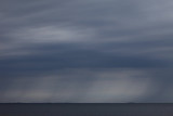 Gray skies