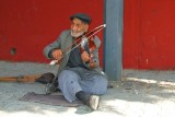The Fiddler